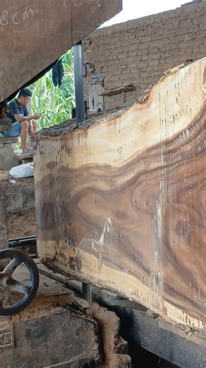 The process of sawing a giant wood is truly a remarkable sight to witness. It begins with careful preparation, as workers position the massive log onto the sawmill with precision and skill. Due to its enormous size and weight, heavy machinery is often required just to lift and move the wood into place. This stage requires teamwork and accuracy to ensure that the log is aligned perfectly before cutting begins. Once the wood is secured, the sawing process starts with large, powerful blades that ar