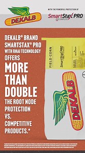 High corn rootworm pressure? #DEKALB brand has #CornThatPerforms with outstanding pest defense. | DEKALB Asgrow Seed