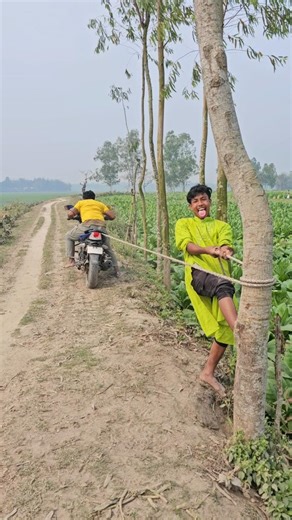 The clever boy climbed the tree.