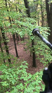 Beastmode Bowhunting on Reels