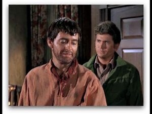 BONANZA/AMIGO 8X22 CON HENRY DARROW