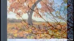 6.2K views · 106 reactions | 2018 to 2019 | Pathian Hla Post Nak | Facebook