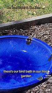 Wild Animals Australia on Reels