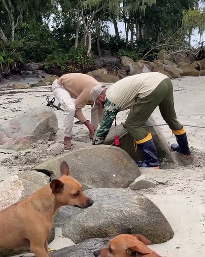 Immeasurable Treasure Found in Beach Water Hole - Part 1
