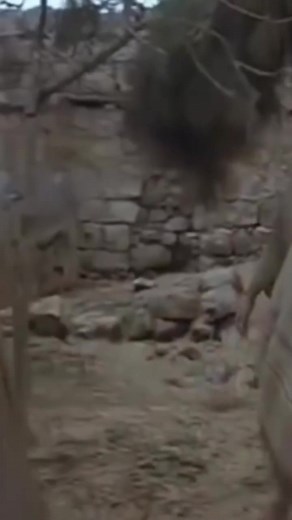 Type Amen 🙏🌟🌟🌟https://www.facebook.com/profile.php?id=100090762735269 | John Glenn Pasco Magsanay