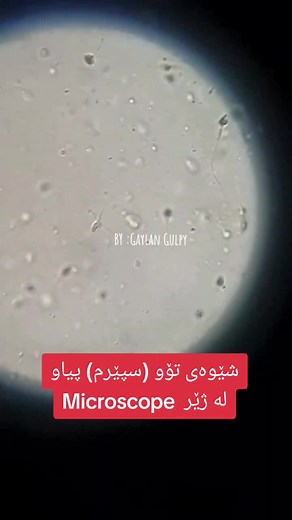 ❥︎Gaylan Gulpy❥︎ على TikTok