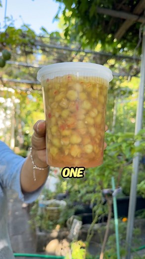 40K views · 764 reactions | Check out what mom made with the star gooseberries! She pickled them! Yum! ✨ | Judy Bao Garden | Facebook
