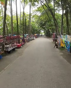 144K views · 2.8K reactions | Un breve paseo por el Boulevard en Dominical de Osa, Puntarenas. | Paisajes y Drones | Facebook