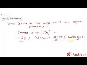 Define diploid cell.
