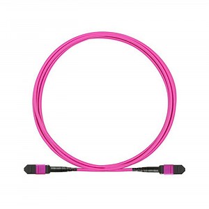 [Hot Item] MPO Fiber Optic Patch Cord Assemblies Single Mode 9/125 Fast Connector by 24 Years Factory Hanxin