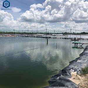 [Hot Item] Waterproof HDPE Black Fish Pond Liners Geomembrane for Shrimp Pond in Indonesia