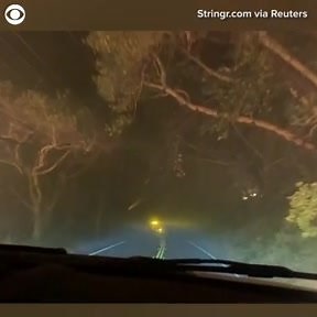 3.7K views · 38 reactions | WATCH: This car drove down a road surrounded by flames in Ben Lomond, California on August 19. More than 20 major wildfires and hundreds of smaller fires are burning throughout the state. | First Alert 7 | Facebook