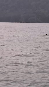 1.5M views · 10K reactions | Bukan selalu nak dapat view macam ni lepaih mengai. Mak.. Timbul lah mak. Putih datang ni.. | CHAI Fishing | Facebook