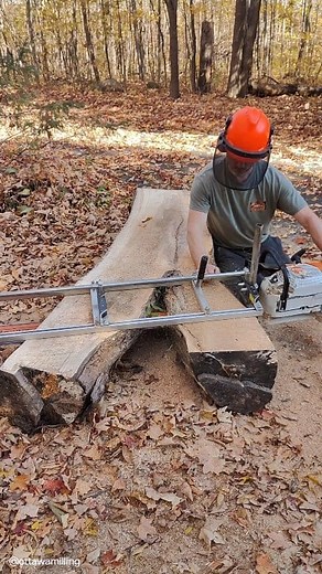 Milling an Elm crotch. The ladder is needed to make the first cut. You need a flat surface to run the mill on and a ladder is a great option! The individual diameters aren't super big but the big bar was needed because of the span of the crotch. Interesting slabs. What would you do with these? I'm trying to imagine what they could be used for but can't really come up with anything other than cutting them up. Any ideas?? MKIV 60" mill, 64" bar and skip rip chain used are from Granberg Internation