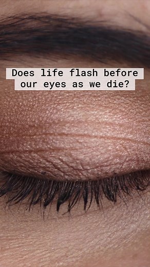 The first scan of a dying brain revealed a "last recall" 🧠 Read more here: https://technet.works/DyingBrain | The Science Explorer