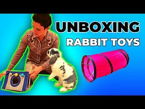 Which of the 4 Toys Did My Bunny Approve? Unboxing New Toys with my adorable Rabbit!