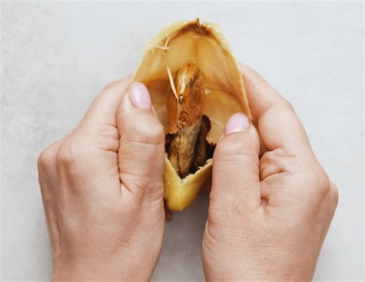 Smart Watering Solutions! Genius Hacks for Successful Plant Care | 5-Minute Crafts GIRLY