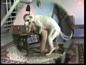 Dog makes her scream