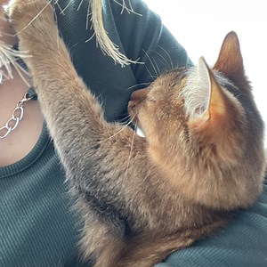 iiniku898939 Schedule - Twitch