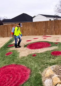 938K views · 1.7K reactions | Satisfying lawn painting Partner: thelawntools | Crafty Panda | Facebook