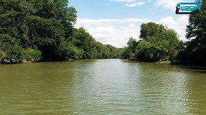 Reservoir Levels as at October 1st 2020 | WASA Trinidad & Tobago