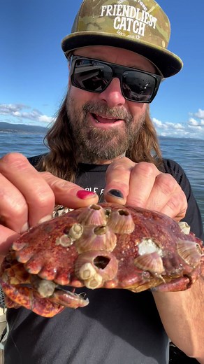 Barnacle De Chronicles #friendliestcatch #barnaclechronicles | Barnacles