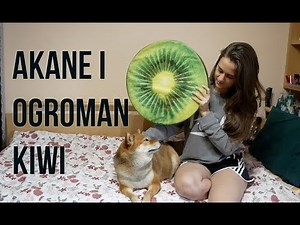 Cudne stvari koje sam dobila online (sa Akane) | Banggood