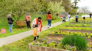 354 reactions · 66 shares |  Flower Patch is BACK! Unique floral and garden creature installations make a fantastic flower spectacle and stunning backdrop for spring photos. Meet costumed nature creatures, pick your own pot of flowers, do floral-themed crafts, and make your mark on Chalk Walk! | Queens Botanical Garden | Facebook