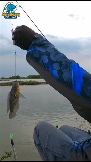 1.9K views · 28 reactions | Betot an ikan bandeng memang mantap  | MangMung Fishing | Facebook