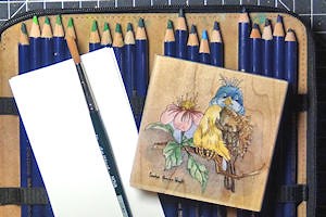Splitcoaststampers - Tutorials