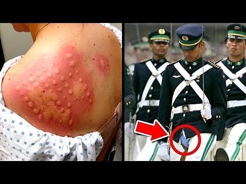 People Having a Worse Day Than You - Part 4