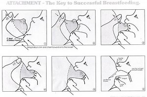 Ini Langkah-langkah Menyusui yang Benar Agar ASI Lancar dan Bebas Nyeri | Nakita