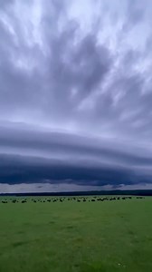 1.7K views · 63 reactions | Check it out! A spectacular looking shelf cloud moving over Allendale County Thursday evening. Video: Doug Noll | WJCL News | Facebook