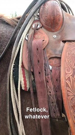 You Ain’t No Cowboy #motivationalspeaker #cowboywisdom #cowboy #ranch #rodeo | Zoona