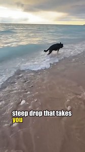 Sleeping Bear Dunes#dunes #sleepingbear | TrueTales