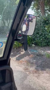 1.9K views · 18 reactions | Mary Alice Monroe on Reels | Facebook