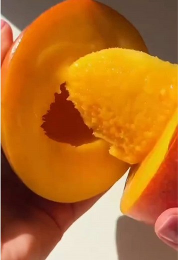 What Are Mango Worms?