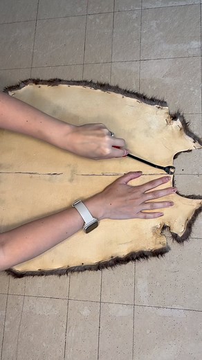 👏 Mitten 👏 pattern 👏 coming 👏 soon 👏 . #furtrapping #furtrapper #trapline #beavertrapper #beavertrapping #coyotehunting #coyotetrapping #foxtrapping #predatorhunting #predatortrapping #ottertrapping #minktrapping #muskrattrapping #skunktrapping #furkoozies #furhandling #raccoontrapping #raccoonhunting #coondog #oddities #bearhunt #bearhunting | Darling Leather And Fur