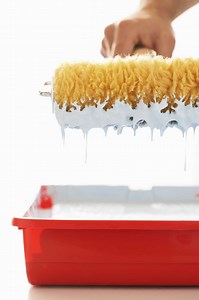 Why Is the Bark Peeling on My Silver Maple?