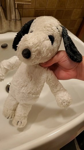 CollectPeanuts on Reels