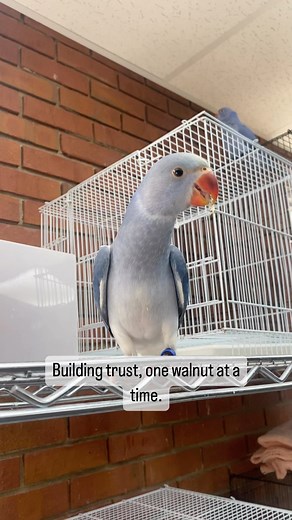 4.2K views · 192 reactions | Positive reinforcement & repetition. If...