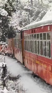 Hill Queen ❤ 📸© Shashi Magriya | Raid De Himalaya