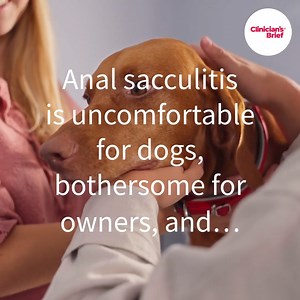 Ear preparation, rear preparation–what’s the difference? Find out here: brief.vet/3RB6jf2 | Clinician's Brief