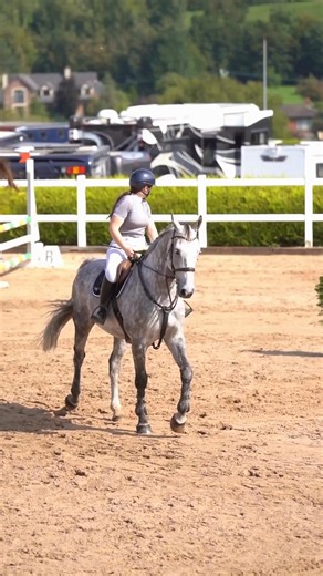 Quantino Van’t Heike – a brave Irish Sport Horse gelding 懶 This...