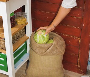 Conseils pratiques de conservation des aliments pour les cuisiniers de MAISON ! | BRICO ADOS