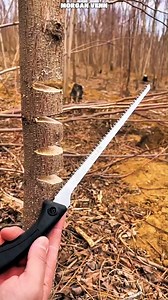 264K views · 624 reactions | Would you use the saw to style the tree #GardenTools #ElectricGardenTools #TreePruning #LawnCare #SmartGardening #GardenHacks #DIYGarden | Morgan Venn | Facebook