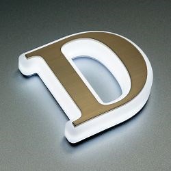 [Hot Item] Outdoor Aluminum Acrylic Channel Letters Signs Eye-Catching LED Display for Shop Front Advertisement