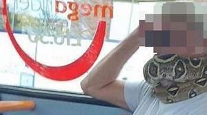 Australian animal encounters