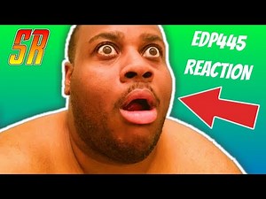 Best of EDP445 - REACTION