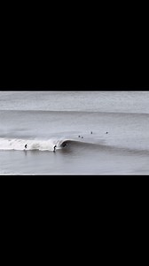 Why join us surfing here at Cayton Bay? 🌊We’re based at the most beautiful, unspoilt and secluded beach in Scarborough. 🌊We have waves for all abilities from beginner to advanced. 🌊The beach works through all stages of tide. 🌊We’re the only AALA licensed centre in the area and are Surfing England Accredited. 🌊We have professional qualified coaches offering lessons from beginner to advanced and high performance. 🌊Our head coach is a Team England Junior Squad coach, ISA level 2 coach, UK coa